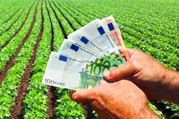 Subvenții și fonduri europene 2026